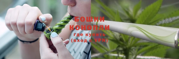 сатива Абдулино