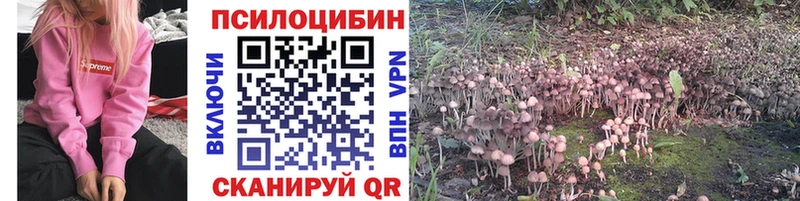 Галлюциногенные грибы GOLDEN TEACHER  как найти   ОМГ ОМГ вход  Красавино 